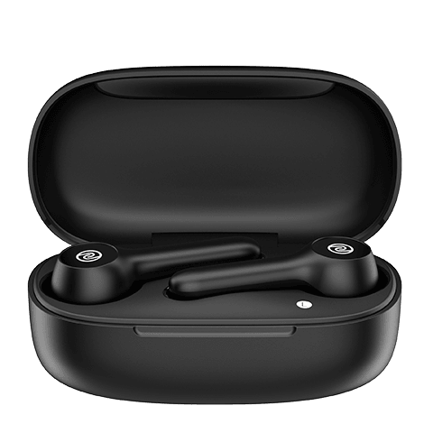 Noise Buds VS201 Truly Wireless Earbuds